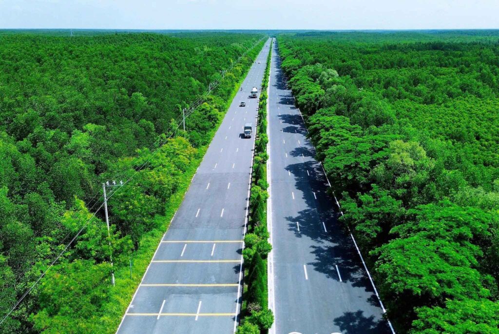 ảnh rừng Sắc - Cần Giờ 2