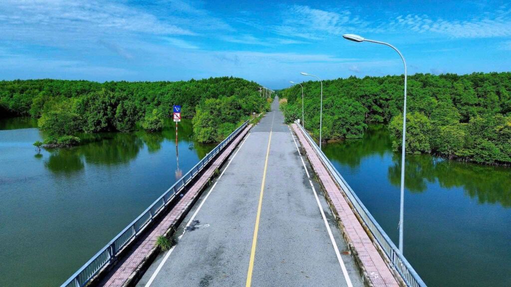 ảnh rừng Sắc - Cần Giờ 3