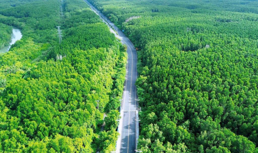 ảnh rừng Sắc - Cần Giờ 5