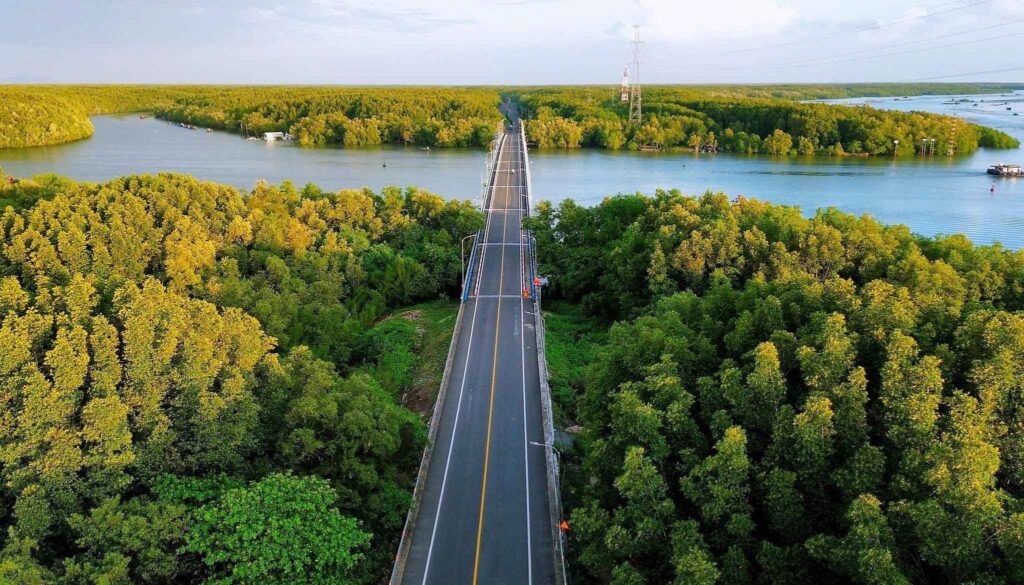 ảnh rừng Sắc - Cần Giờ 7