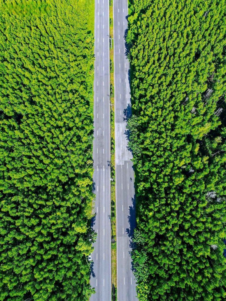 ảnh rừng Sắc - Cần Giờ 8