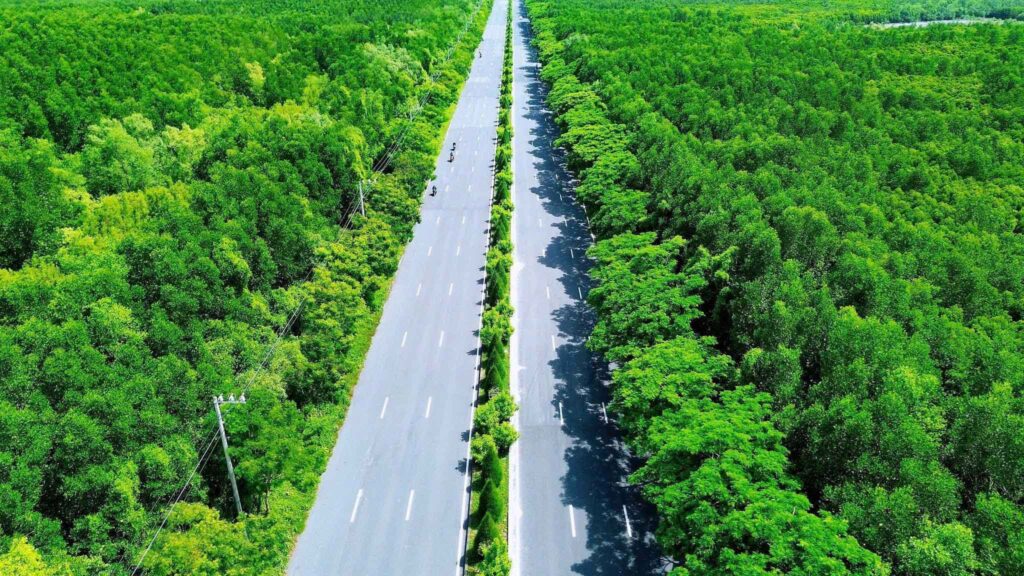 ảnh rừng Sắc - Cần Giờ 9