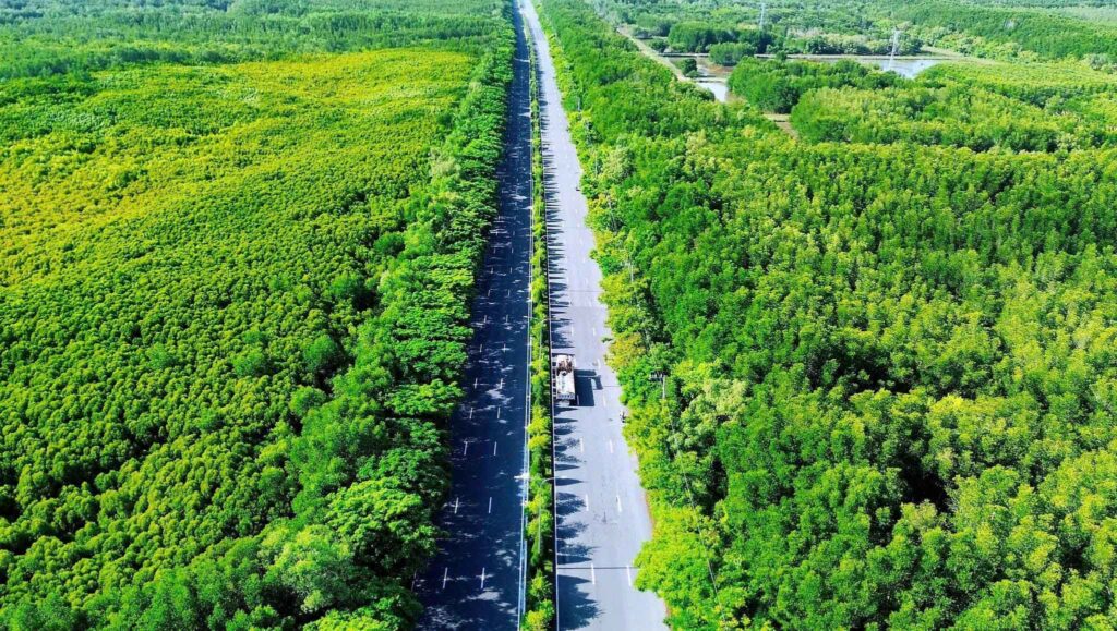 ảnh rừng Sắc - Cần Giờ 10